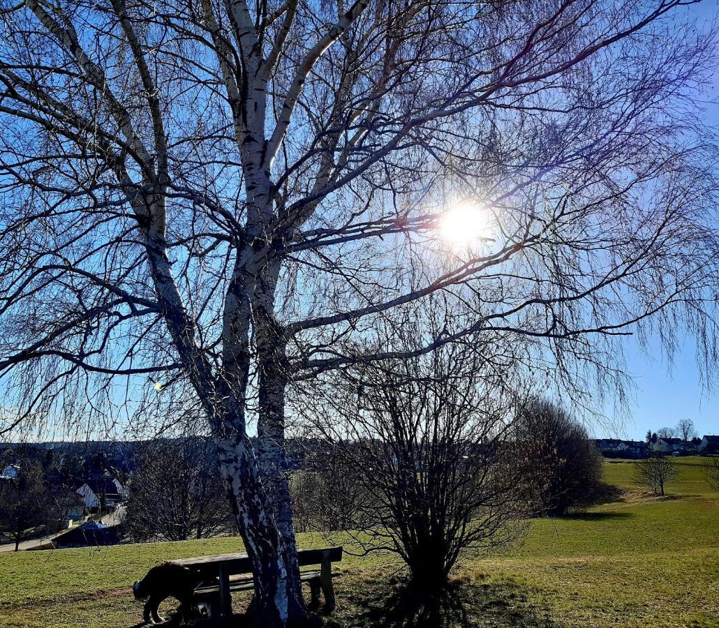 Apartment Albblick